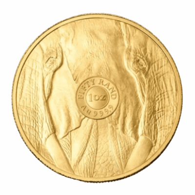 Złota moneta Słoń Big Five Kraków Starowiślna KupSZTABKI Złoto inwestycyjne 1