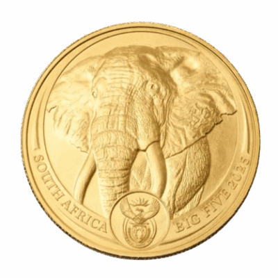 Złota moneta Słoń Big Five Kraków Starowiślna KupSZTABKI Złoto inwestycyjne 1