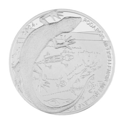 Srebrna moneta Black Lizard 2024 – Chorwacja – 1 oz Ag 9999 – czarna jaszczurka Podarcis melisellensis